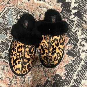Ugg slippers